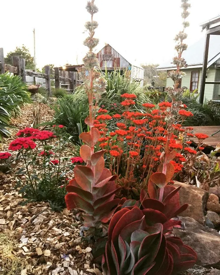 Allara Homestead Bed&Breakfast Flaxton Bed and breakfast