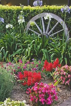 Allara Homestead Flaxton